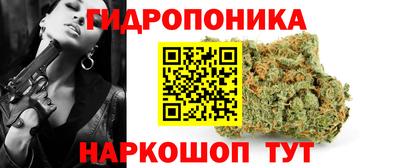 гашик Ставрополь