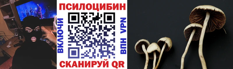Галлюциногенные грибы Magic Shrooms  Тюмень 