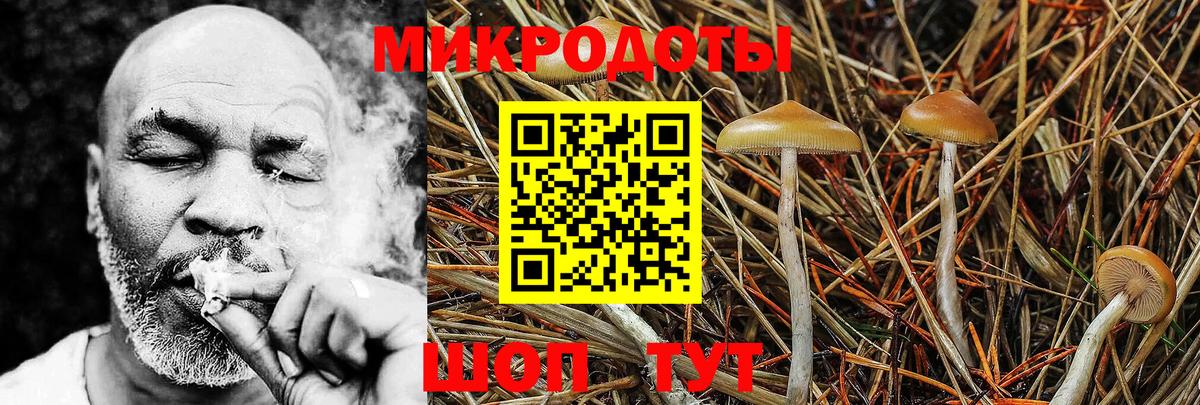 Псилоцибиновые грибы прущие грибы  как найти закладки  Тюмень  Вход с VPN  Галлюциногенные грибы ЛСД 