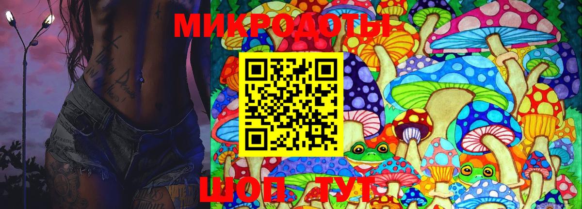 Псилоцибиновые грибы Psilocybe Тюмень